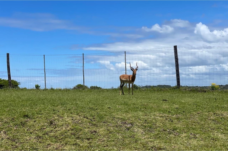 0 Bedroom Property for Sale in Khamanga Bay Eastern Cape